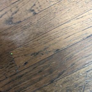 Meet your Posher, Larissa